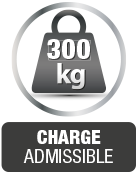 charge300